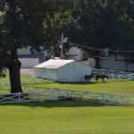 OTRA2014CN_0161 (August 27, 2014)